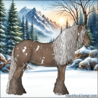 Horse Color:White Spotted Silver Blue Roan 