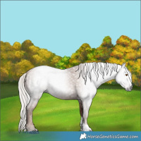 Horse Color:Gray Silver Black Pearl Tobiano 