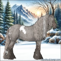 Horse Color:White Spotted Silver Blue Roan 