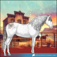 Horse Color:White Spotted Liver Chestnut Splash Appaloosa