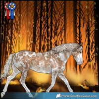 Horse Color:White Spotted Chocolate Palomino Snowflake Varnish 