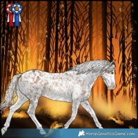 Horse Color:White Spotted Chocolate Palomino Snowflake Varnish 