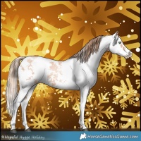 Horse Color:Gold Champagne Pearl Sabino 
