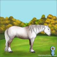 Horse Color:Gray Silver Black Pearl Tobiano 