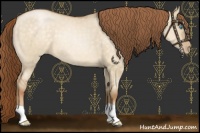 Horse Color:Buckskin Pearl Dun 