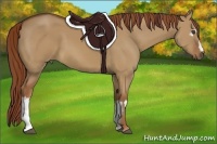 Horse Color:White Spotted Red Dun Frame 