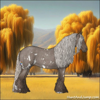 Horse Color:White Spotted Silver Blue Roan 