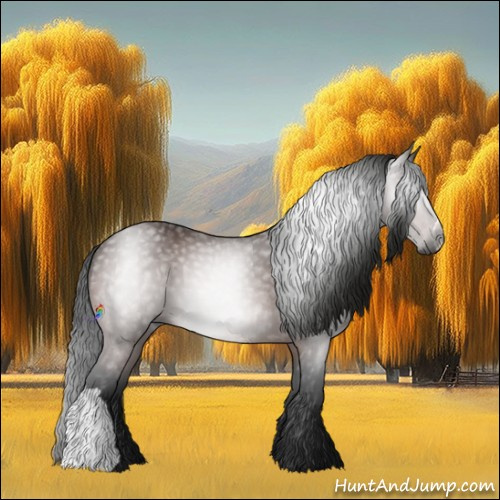 Horse Color:Gray Buckskin