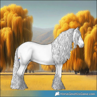 Horse Color:Gray Buckskin 