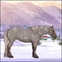Horse Color:White Spotted Silver Blue Roan 