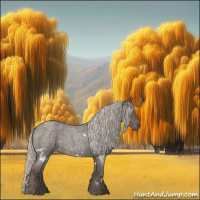 Horse Color:White Spotted Silver Blue Roan 