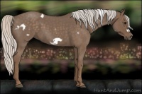 Horse Color:White Spotted Silver Blue Roan Frame 