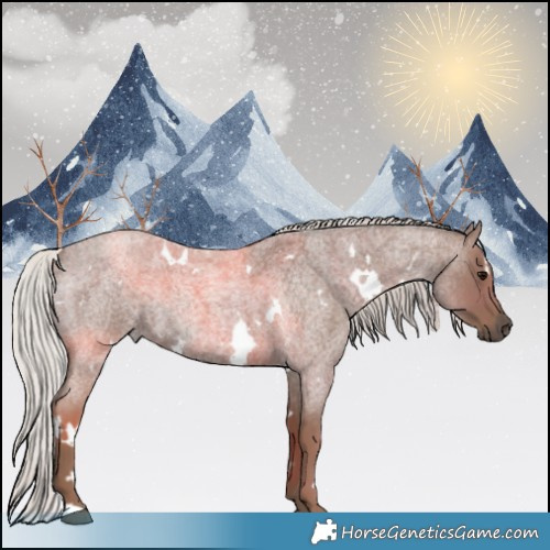 Horse Color:White Spotted Silver Blue Roan 