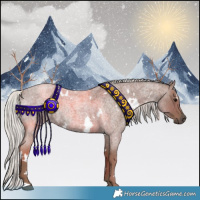 Horse Color:White Spotted Silver Blue Roan 