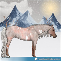 Horse Color:White Spotted Silver Blue Roan 