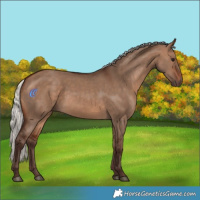 Horse Color:Silver Brown Dun 