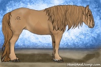 Horse Color:Chestnut  and Chestnut 