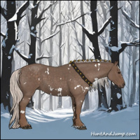 Horse Color:White Spotted Silver Blue Roan 