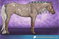 Horse Color:White Spotted Silver Blue Roan 
