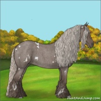 Horse Color:White Spotted Silver Blue Roan 