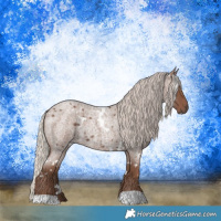 Horse Color:White Spotted Silver Blue Roan 