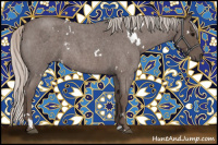 Horse Color:White Spotted Silver Blue Roan 