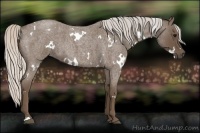Horse Color:White Spotted Silver Blue Roan 
