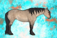 Horse Color:Brown Dun Brindle 