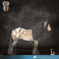 Horse Color:Buckskin Dun Blanket 