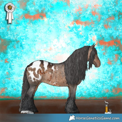 Horse Color:Brown Dun Appaloosa Brindle 