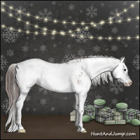 Horse Color:Brown Sabino Splash Appaloosa  and Liver Chestnut Sabino Splash Appaloosa 