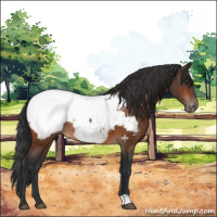 Horse Color:Brown Near Fewspot Rabicano 