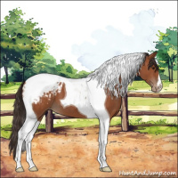 Horse Color:Bay Tobiano Blanket 