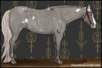 Horse Color:White Spotted Silver Blue Roan Splash 