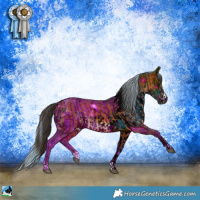 Horse Color:Bay and ERROR: UNKNOWN ANOMALY