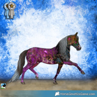 Horse Color:Bay  and ERROR: UNKNOWN ANOMALY
