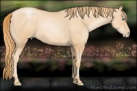 Horse Color:Gold Champagne Pearl