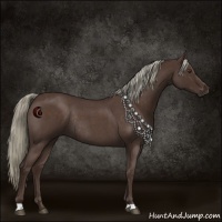 Horse Color:Liver Red Roan Rabicano 