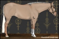 Horse Color:Red Dun Mushroom Varnish 