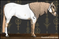 Horse Color:Red Dun Near Fewspot 