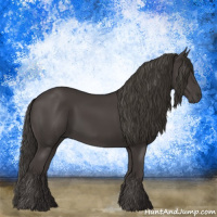 Horse Color:Smoky Black 