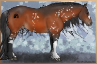 Horse Color:Bay Snowflake Varnish  and Bay Varnish 