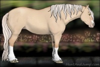 Horse Color:Silver Classic Champagne Dun Splash Frame