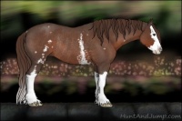 Horse Color:White Spotted Liver Red Roan Splash Rabicano 