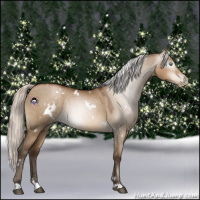 Horse Color:Gray White Spotted Silver Brown Pearl Dun 
