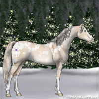 Horse Color:White Spotted Gold Champagne Dun Mushroom 