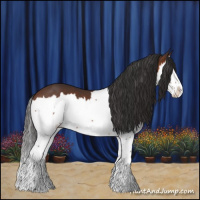 Horse Color:Brown Splash 