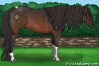 Horse Color:Buckskin Tobiano 