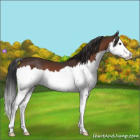 Horse Color:Brown Splash 