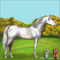 Horse Color:Gray Silver Brown Tobiano 